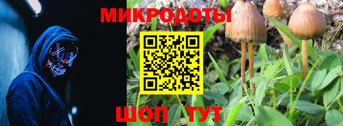 Дятьково  Псилоцибиновые грибы Psilocybe  Вход с VPN 